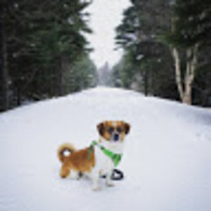 Meet your Posher, Gina